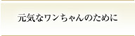 元気なワンちゃんのために