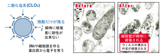 二酸化塩素は高度な殺菌力を有しています。