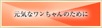 元気なワンちゃんのために