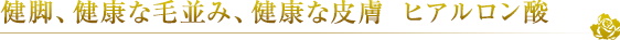 健脚、健康な毛並み、健康な皮膚　ヒアルロン酸