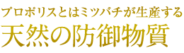 プロポリスとはミツバチが生産する　天然の防御物質